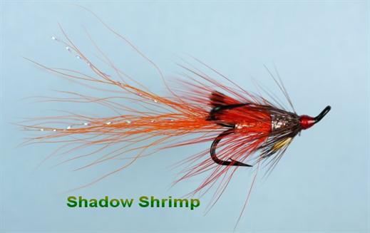 Shadow Shrimp