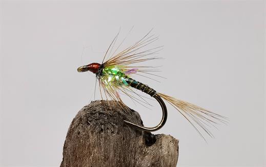 Lime Quill Cruncher