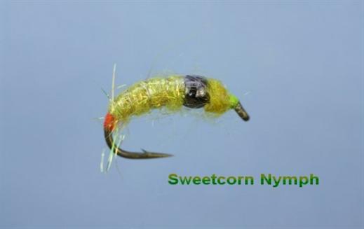 Sweetcorn Bug