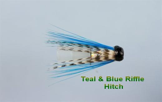 Teal and Blue Hitch