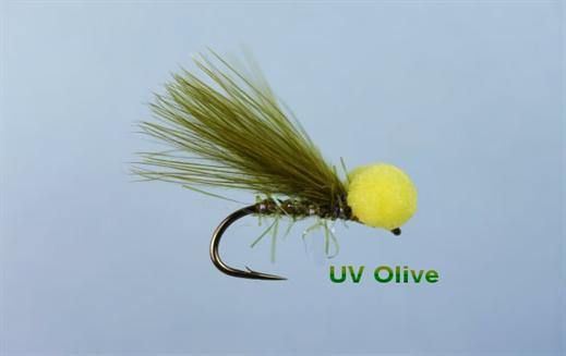 Olive UV Booby