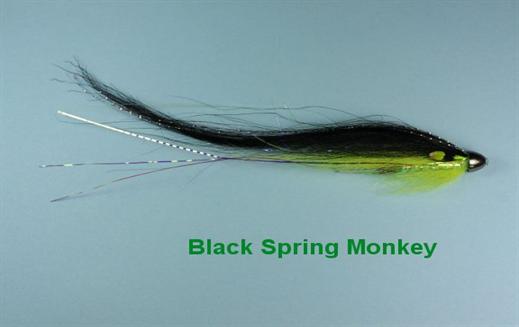 Black Spring Monkey JC