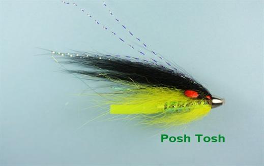 Posh Tosh Conehead