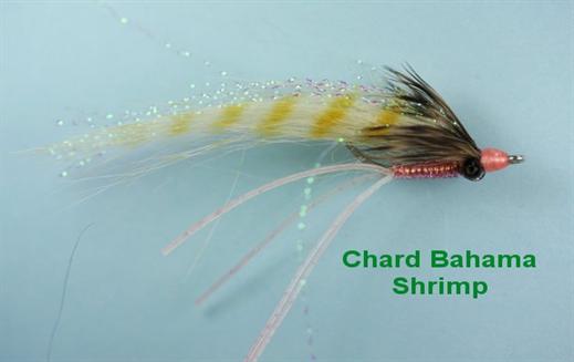 Chard Bahama Sil Shrimp