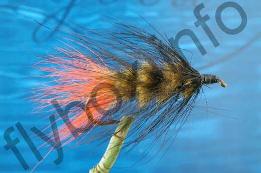 Hairy Olive Black Woolly Worm