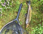 Brilliant day, 9 fish caught!