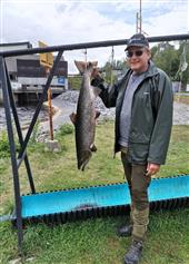 Swedish Salmon 1 (7,8 Kg)