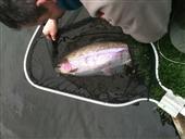 My 1st double 19 lbs