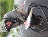 Seconf fish on the Ally shrimp cascade 12 lbs