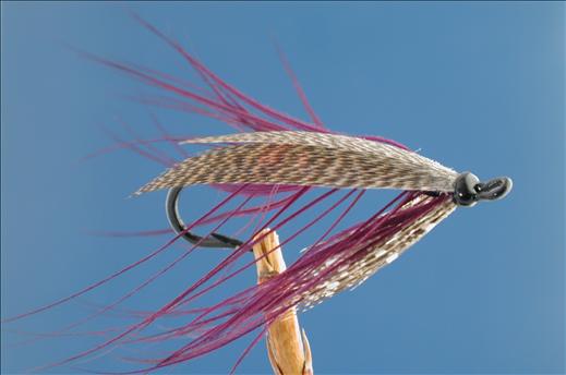 Purple Spey Fly