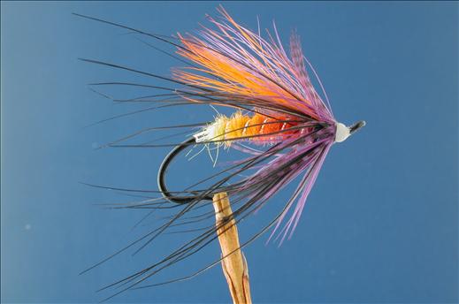 Hairwing Spectrum Spey