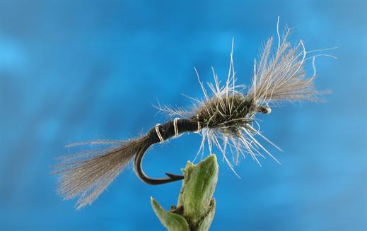 Midge Emerger