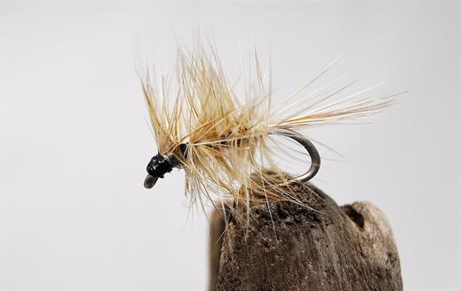 Palmered Hackle