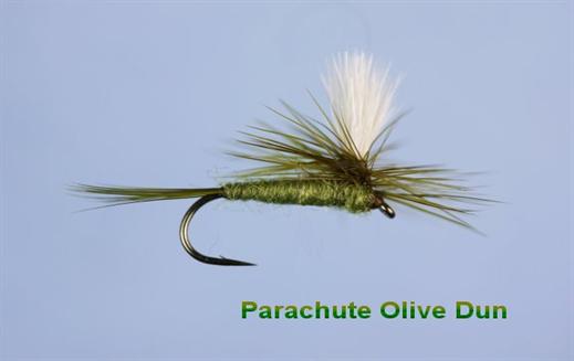Parachute Olive Dun