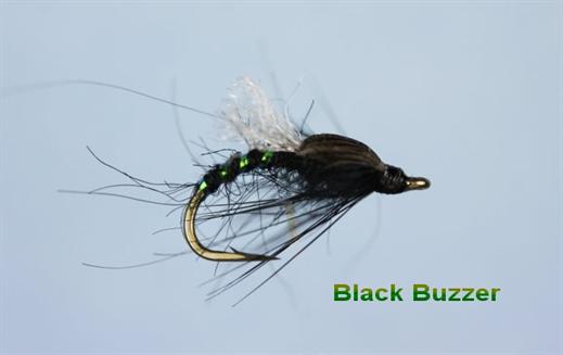 Black Emerging Buzzer