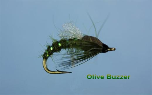 Olive Emerging Buzzer
