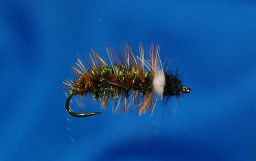 Cased Caddis Fly - Fishing Flies with Fish4Flies Europe