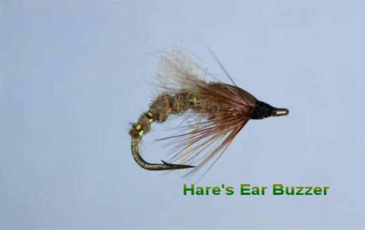 Hares Ear Emerging Buzzer 