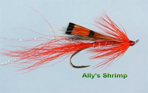 Allys Shrimp