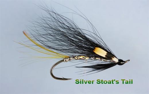 Silver Stoats Tail JC