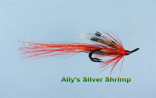 Allys Shrimp Silver