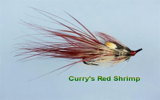 Irish Currys Red JC