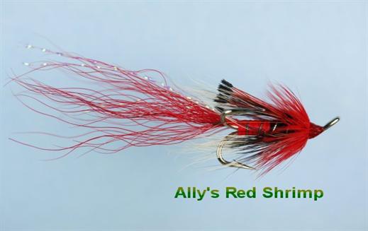 Allys Red Shrimp