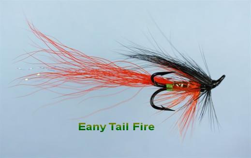 Eany Tail Fire 