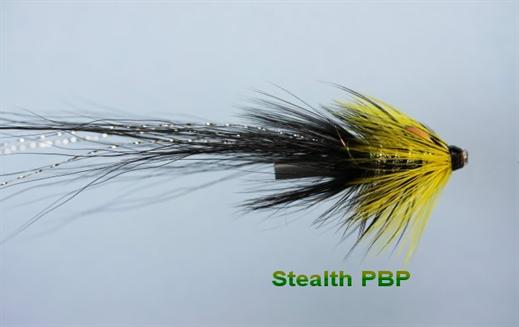 Stealth JC PBP