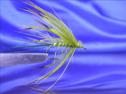 McPhails Mayfly