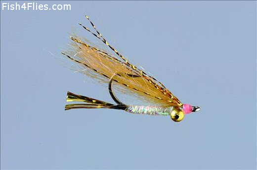 Gotcha Gold Fly - Fishing Flies with Fish4Flies Europe