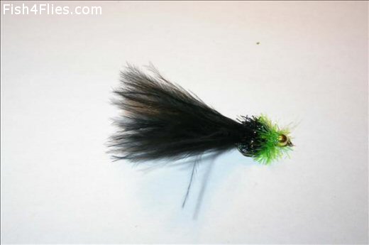 Fritz Damsel Irish Leech GH