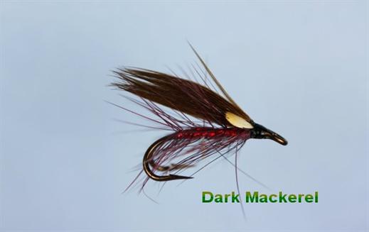 Dark Mackerel JC