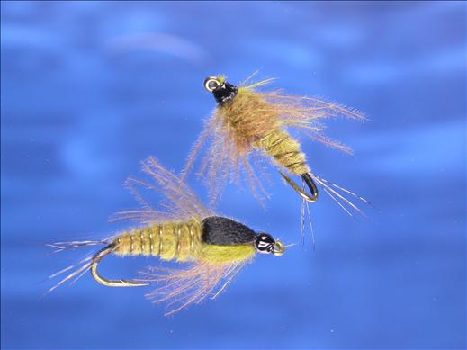 Golden CDC Nymph