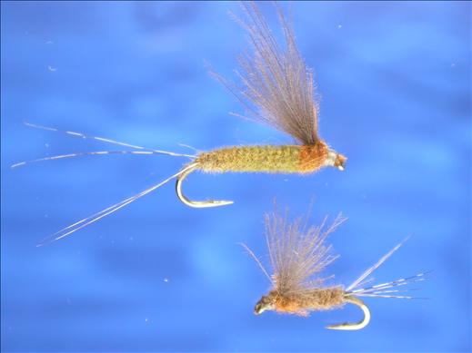 Adult Pink CDC Mayfly
