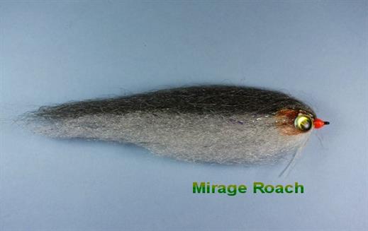 Mirage Roach