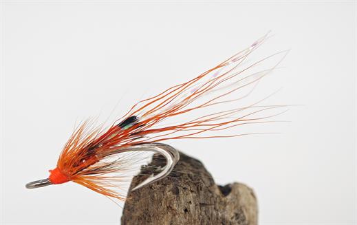 Allys Shrimp LWD