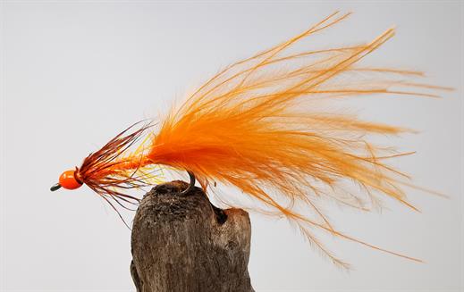 Orange and Pink Darter