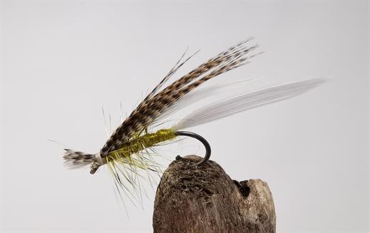 Philip White Active Mayfly