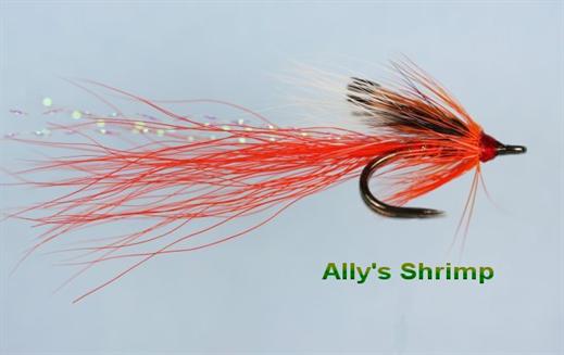 Allys Shrimp Nordic