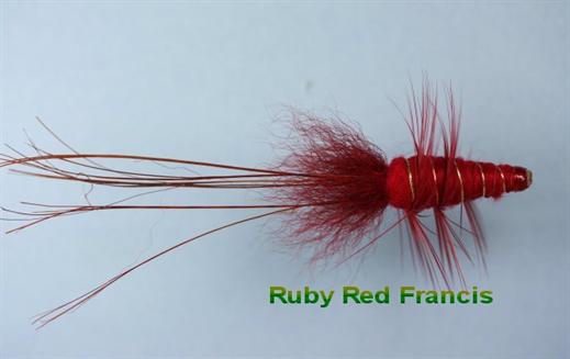 Ruby Red Francis