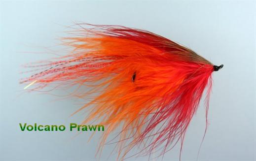 Volcano Prawn