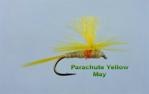 Parachute Yellow May