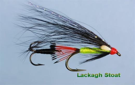 Lackagh Stoat JC Flying Treble