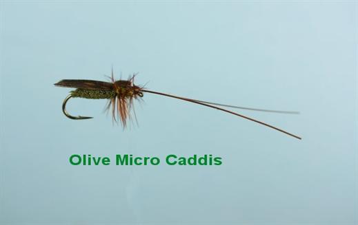 Olive Micro Caddis