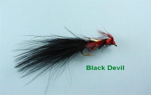 Black Little Devil