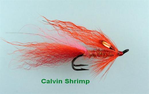 Calvin Shrimp JC