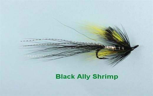 Black Ally Shrimp