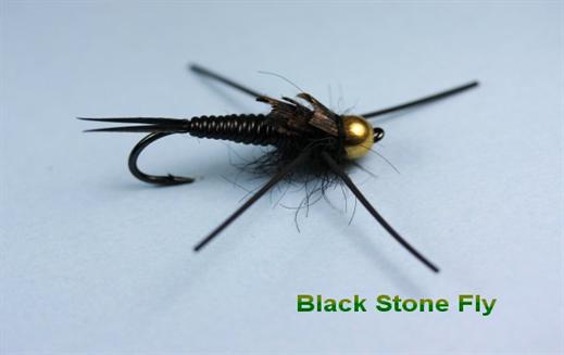 Black Stone Fly Fly - Fishing Flies with Fish4Flies Europe