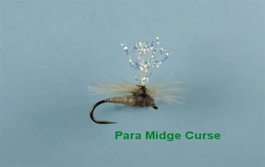 Para Midge Curse